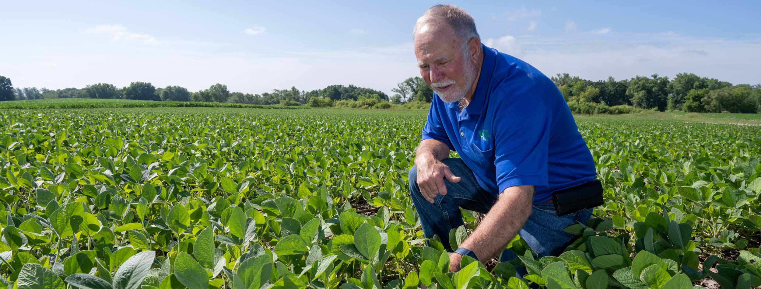 Wisconsin Soybean Farmer's Sleepless Nights Amid US-China Trade Tensions