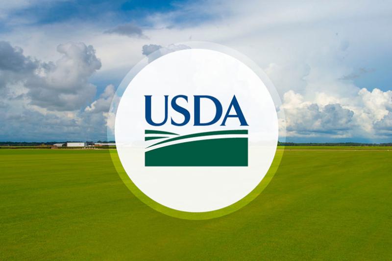 USDA Cuts Corn, Soybean Yield Forecasts
