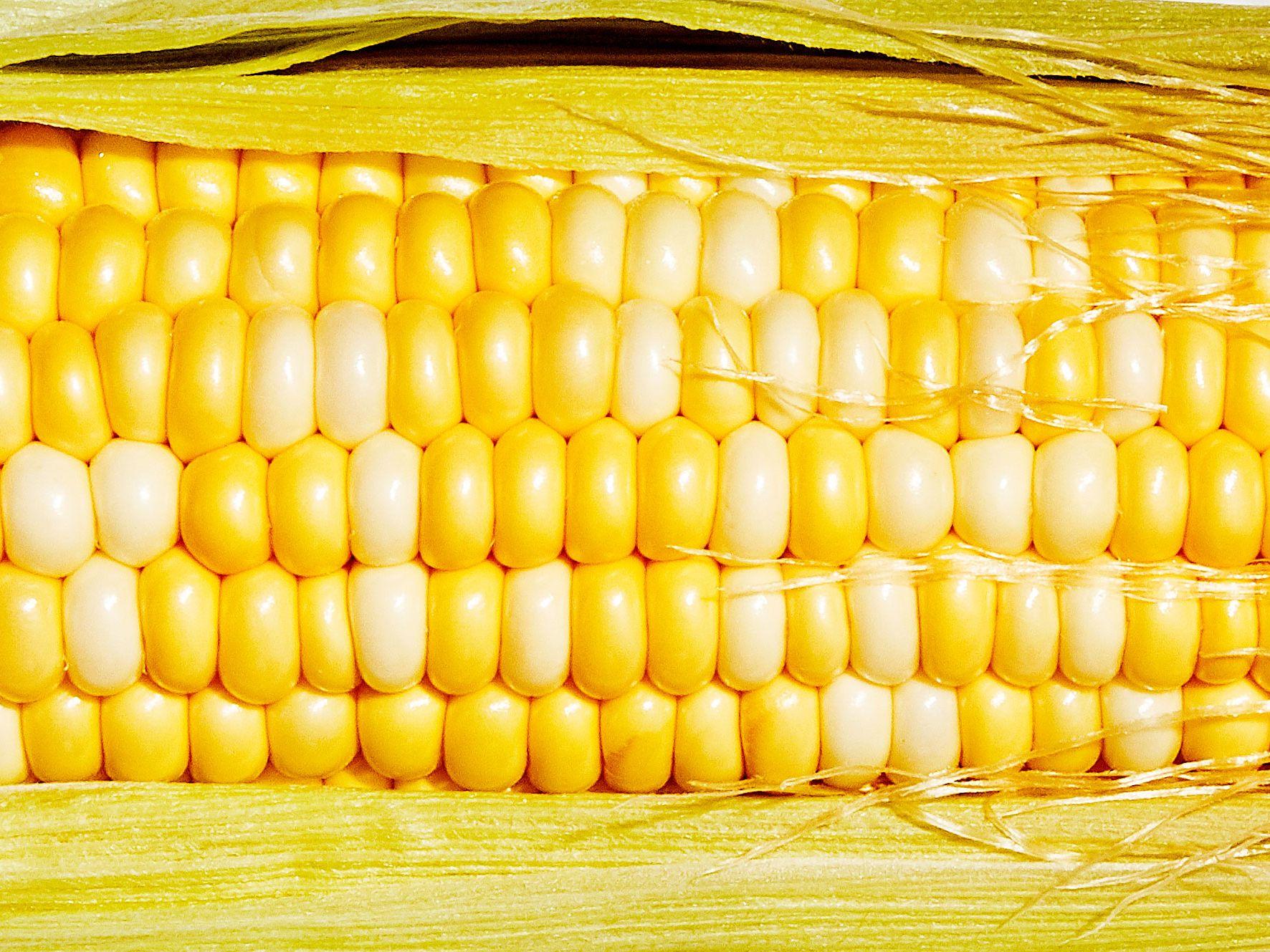 Corn and Soybean Sector Vulnerability Highlights Potential Economic Fallout from International Trade Conflicts