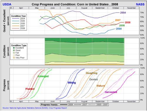 USDA Slashes Corn and Soybean Production Estimates Beyond Market Forecasts