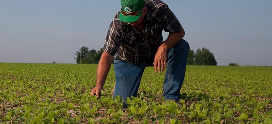 American Soybean Farmer Speaks Out on Trade War Impact