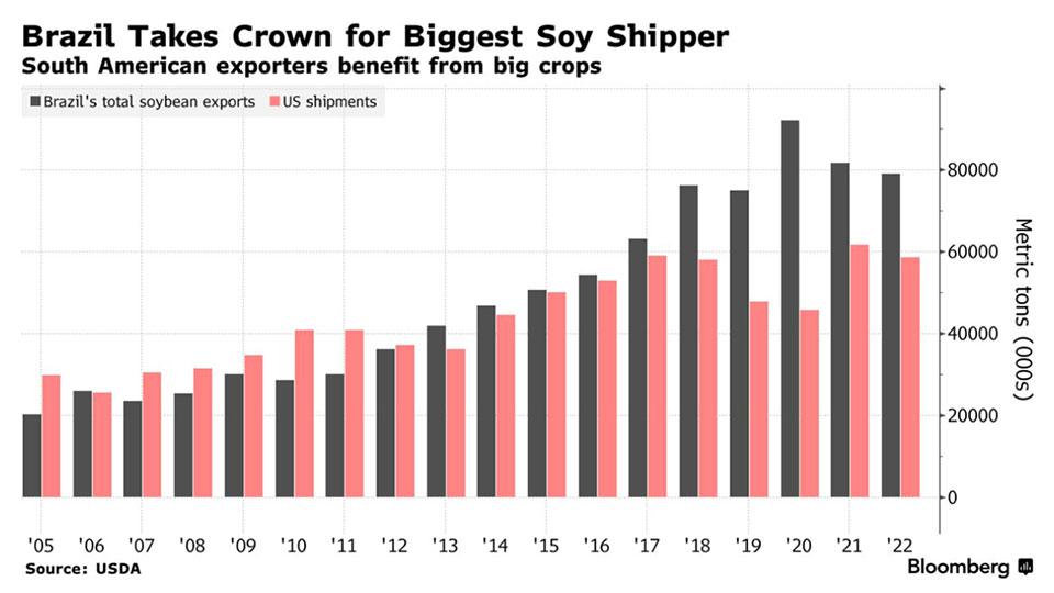 China’s Soybean Market Remains Stable Despite Steep Decline in American Imports