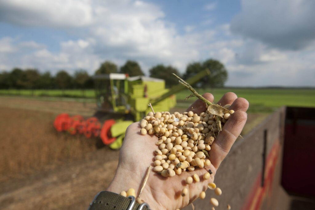 US Soybean Farmers Squeezed Tight Amid China Trade War