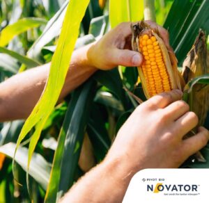 The Growing Interest in Biological Solutions for Corn and Soybean Production