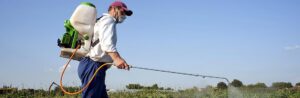 New Pesticide Regulations Threaten Soybean Farmers’ Survival in Years Ahead