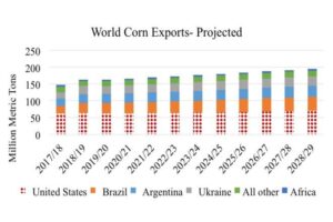 Agricultural Export Report: Analyzing Corn, Wheat, and Soybean Sales Patterns