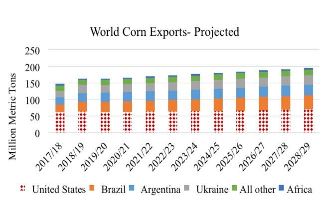 Agricultural Export Report: Analyzing Corn, Wheat, and Soybean Sales Patterns