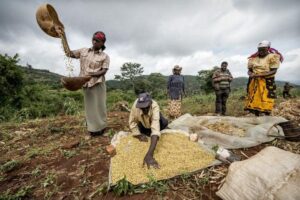 Soybean Farmers Bear Brunt of China Trade Tensions in Minnesota