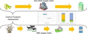Strategies for Mitigating Carbon Footprint in North American Soybean Cultivation