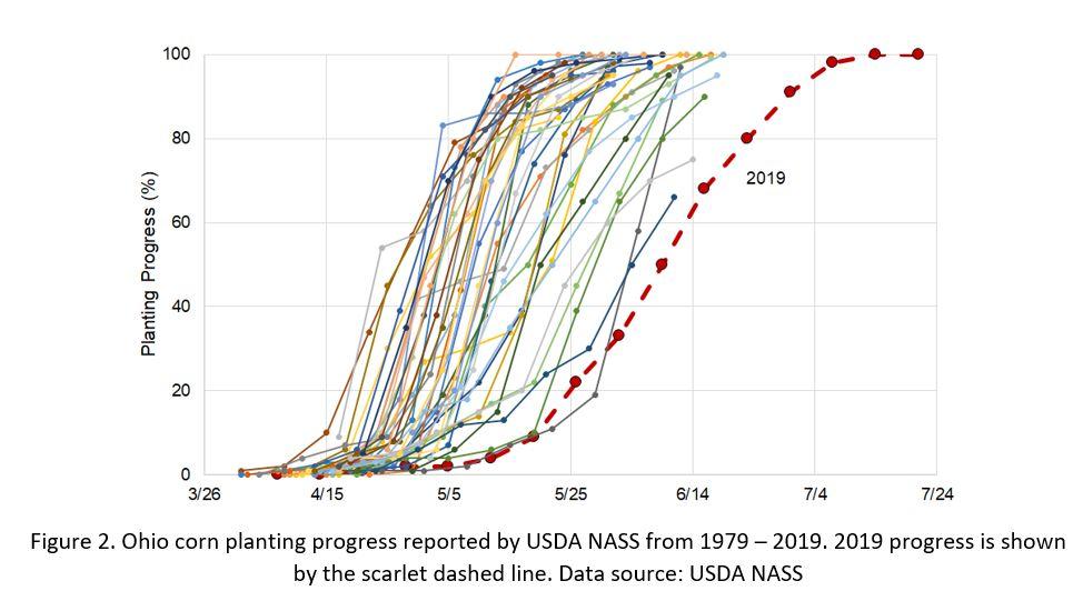 Unveiling 2025 Corn Conditions in Latest Crop Progress Assessment