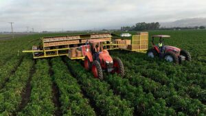Tariff Pressures Steer Farm Crop Choices Across American Heartland