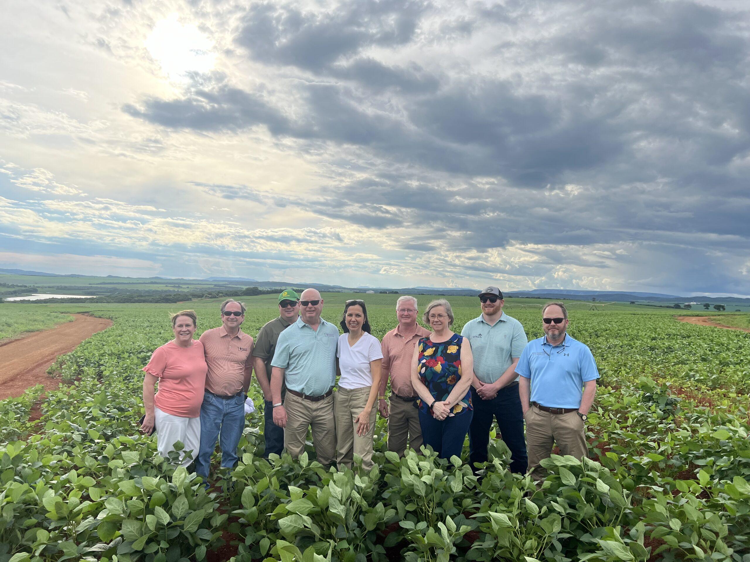 Farmers Grapple with Ongoing Soybean Market Challenges