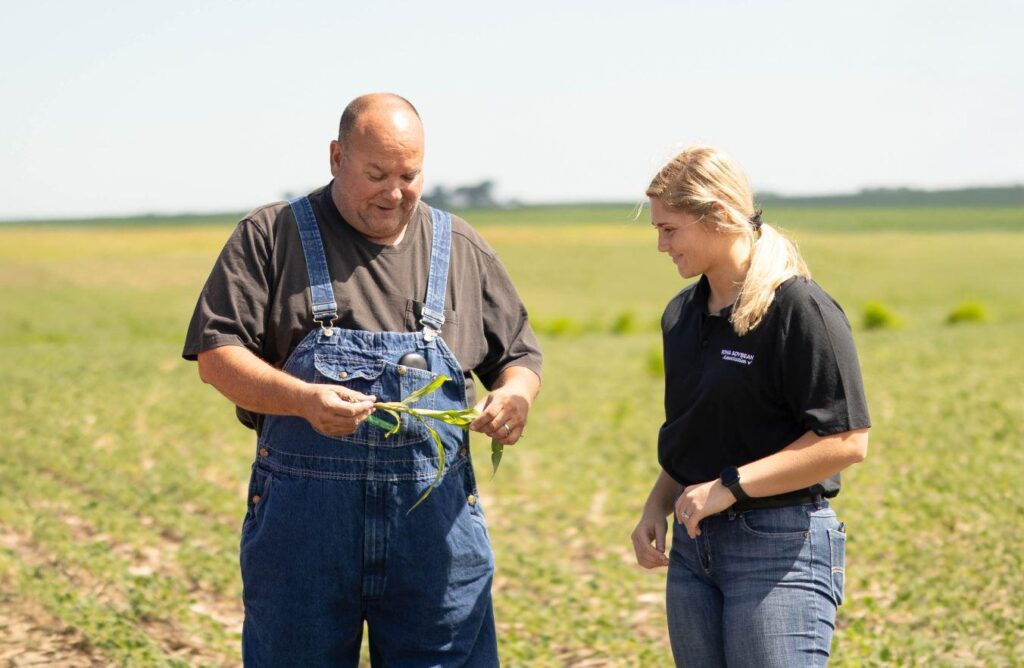 Corn and Soybeans Performing Above Average in Southwest Iowa
