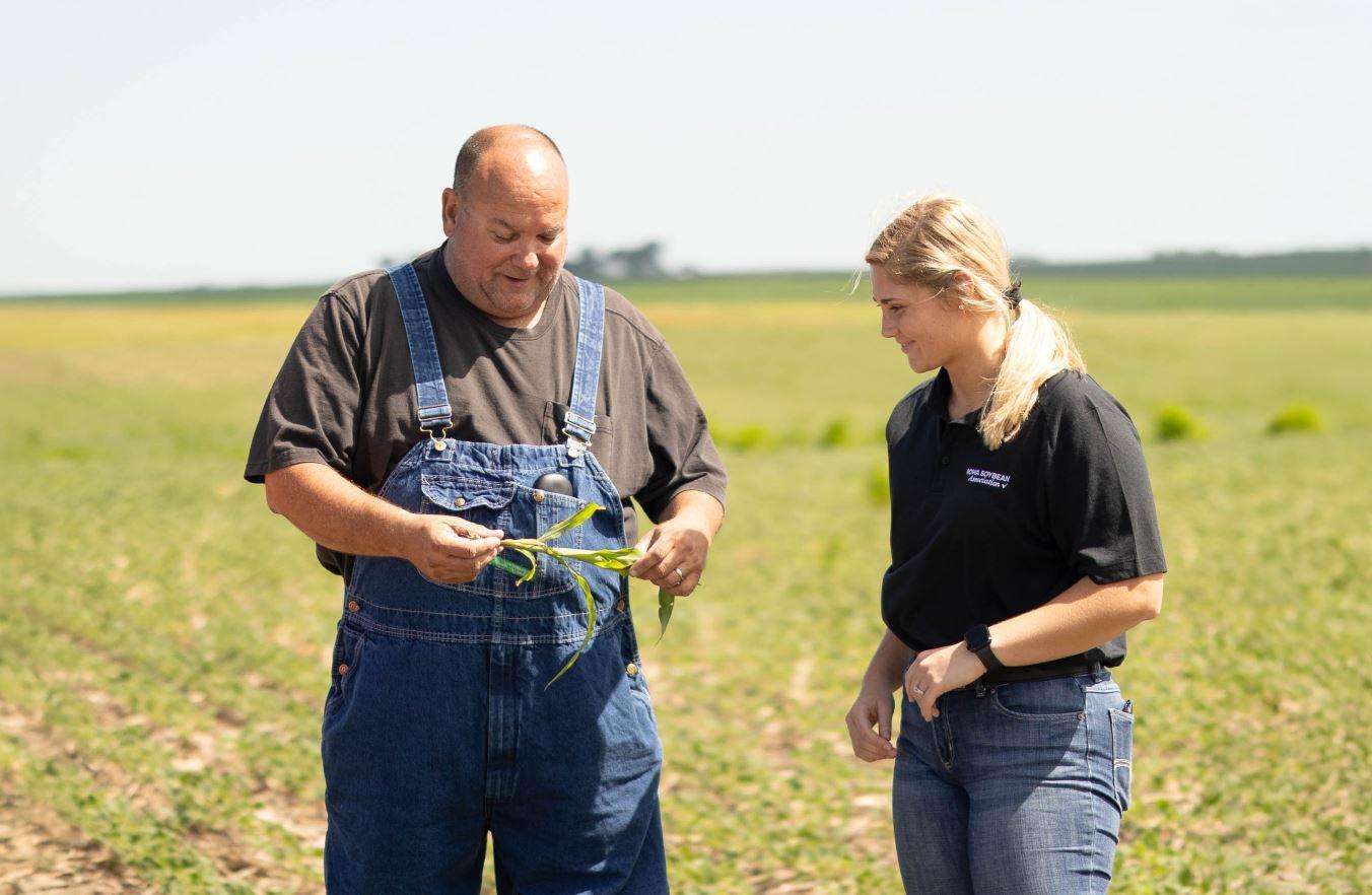 Corn and Soybeans Performing Above Average in Southwest Iowa
